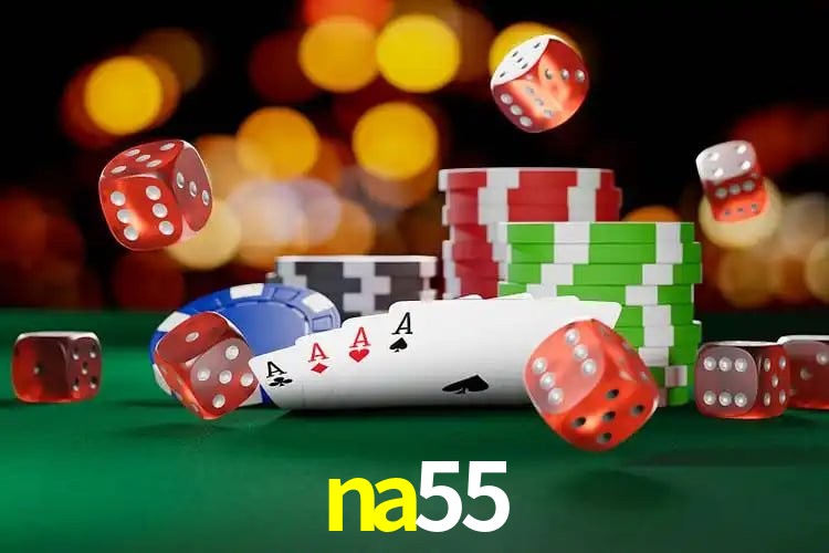 Experiência VIP na55